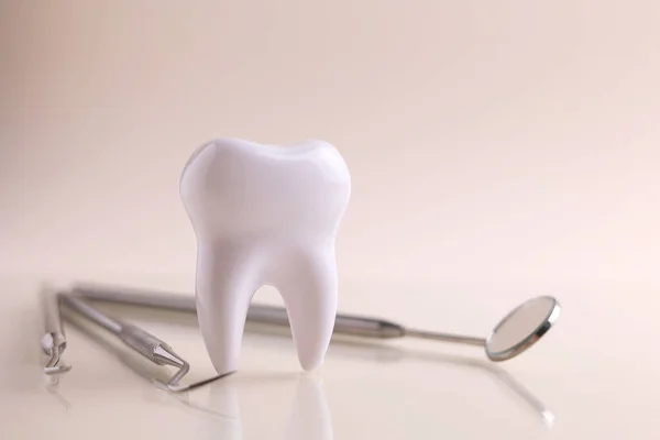 Dişçi konsepti. Renkli bir arkaplanda, yazı için yeri olan diş ve diş aletlerinin modeli. - Evet. Yüksek kalite fotoğraf