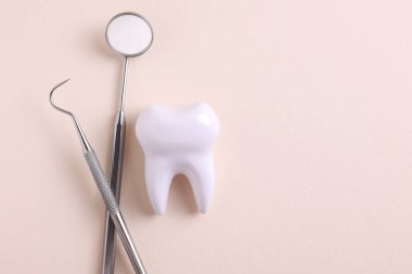 Dişçi konsepti. Renkli bir arkaplanda, yazı için yeri olan diş ve diş aletlerinin modeli. - Evet. Yüksek kalite fotoğraf