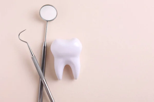 Dişçi konsepti. Renkli bir arkaplanda, yazı için yeri olan diş ve diş aletlerinin modeli. - Evet. Yüksek kalite fotoğraf