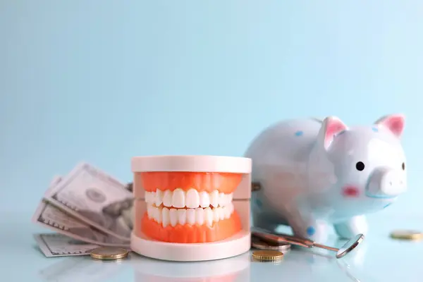 Diş ve paranın dişçi modeli. Diş hizmetlerinin fiyatı. - Evet. Yüksek kalite fotoğraf