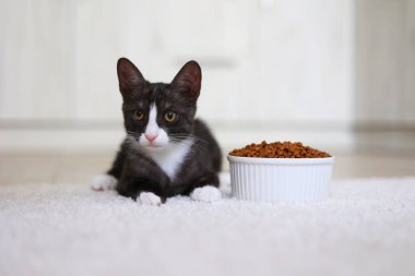 Küçük sevimli bir kedi yavrusu yumuşak halıda lezzetli kedi mamasıyla dolu bir kasenin yanında rahatça yatıyor.