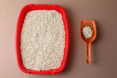 Parlak bir arkaplanı olan kedi kumu kutusu, üst manzara. Metin için boşluk. Yüksek kalite fotoğraf