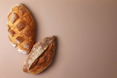 Canlı bir arkaplanda güzel bir şekilde sergilenen çeşitli taze pişmiş ekmeklerden oluşan hoş bir koleksiyon.