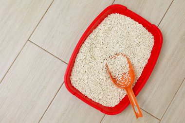 Arka planda hafif bir dolgu malzemesi olan kedi kumu kutusu. Metin için boşluk. Yüksek kalite fotoğraf