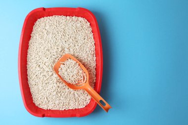 Parlak bir arkaplanı olan kedi kumu kutusu, üst manzara. Metin için boşluk. Yüksek kalite fotoğraf