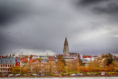 Reykjavik 'in canlı şehir manzarası, renkli mimarisi ve sokak sanatı.