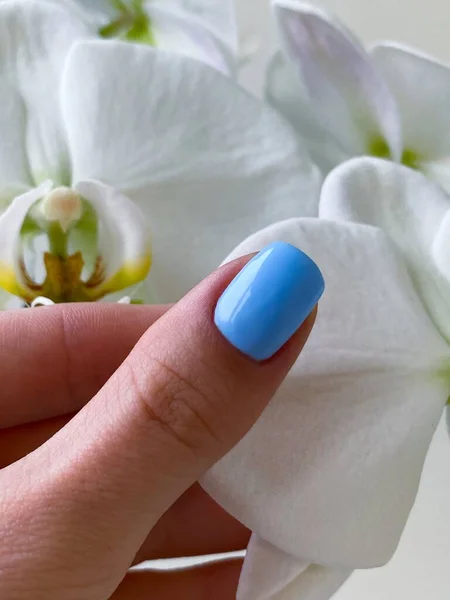 雌性关闭淡蓝色指甲修指甲 兰花背景 高质量的照片 — 图库照片