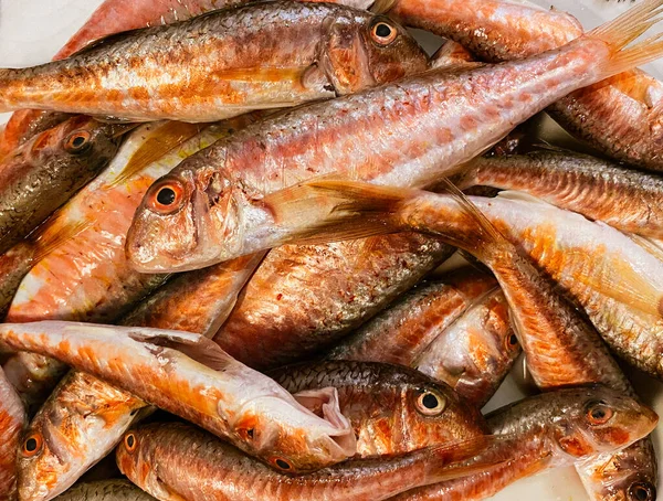 Taze balık Red Mullet, en iyi manzara, Barbel deniz balığı, Barbatus balığı. Yüksek kalite fotoğraf