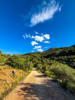 Sierra Nevada, İspanya ve Endülüs ormanlarının ortasında toprak bir patika. Yüksek kalite fotoğraf