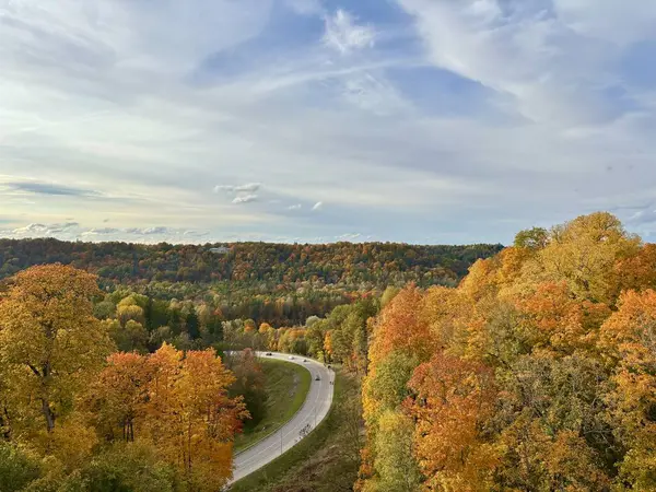 Sonbahar manzaralı asfalt yolu, altın sonbahar. Yüksek kalite fotoğraf