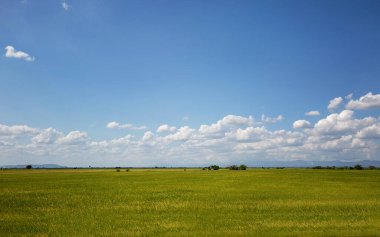 Arazi ile parlak manzara, mavi gökyüzü ve bulutlar