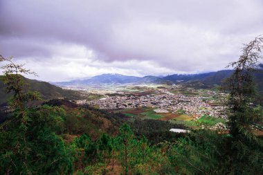 Dominik Cumhuriyeti, Constanza 'daki dağlık orman manzarası. Yüksek kalite fotoğraf