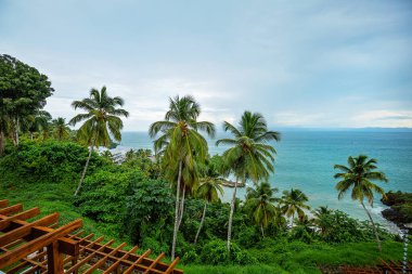 Samana Körfezi 'ne bak, Dominik Cumhuriyeti. Yüksek kalite fotoğraf