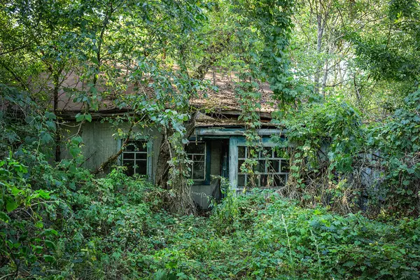 Ukrayna, Krasno - 2017, 20 Ağustos: Ukrayna 'nın Çernobil sınırlama bölgesinde küçük bir köy olan Krasno' da terk edilmiş ev. 