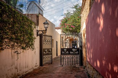 Narrow street in the Colonial Zone, Santo Domingo, Dominican Republic. Scenic view of sunny flowering street with medieval architecture, old colonial city clipart