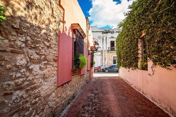 Sömürge Bölgesi 'ndeki Dar Sokak, Santo Domingo, Dominik Cumhuriyeti. Ortaçağ mimarisi, eski sömürge şehri ile güneşli çiçekli caddenin manzarası