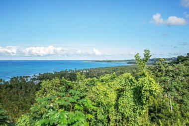 Tropikal deniz kıyısının güzel manzarası. Yüksek kalite fotoğraf