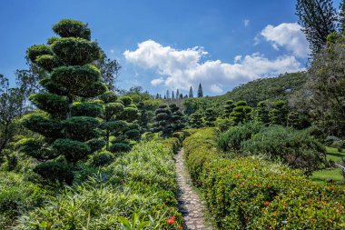 Dominik Cumhuriyeti 'nin başkenti Santo Domingo' daki Botanik Bahçesi 'ndeki Japon bahçesi.. 
