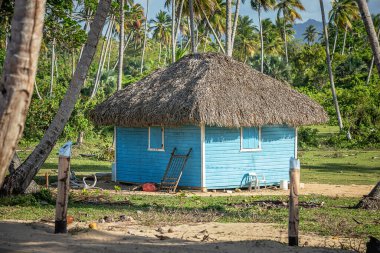 Dominik Cumhuriyeti, Miches - Nisan 06, 2025: Plajda tipik Dominik evi olan tropikal manzara 