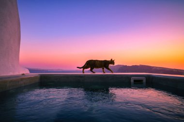 Santorini 'de gün batımı havuzdan izlendi, Yunanistan 