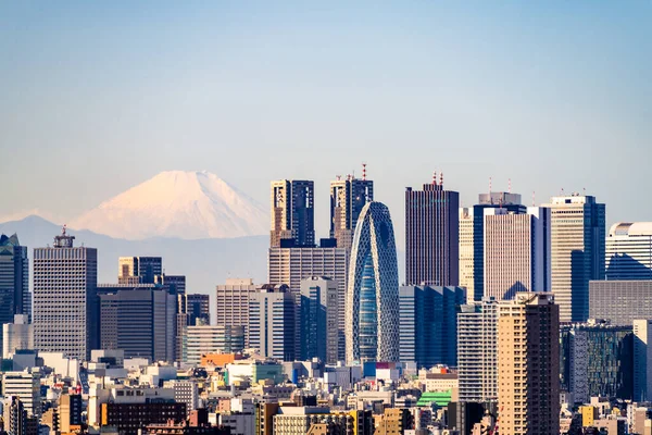 Stock image Tokyo skyline and Mountain fuji in Japan