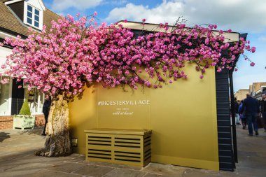 BİSİSTER, İngiltere - 5 HAZİRAN 2016. Bicester Village 'da çiçek ağacı. Bicester Village, Oxfordshire 'da bir kasaba olan Bicester' ın eteklerinde bir alışveriş merkezidir.