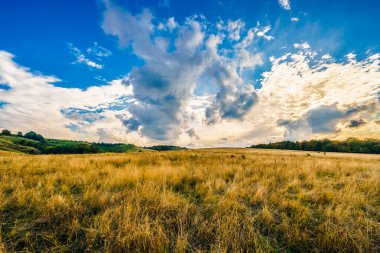 İngiltere 'de Pegsdon Hills ve Hoo Bit