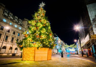 Waterloo Place Caddesi, Londra, İngiltere 'de dekore edilmiş Noel ağacı
