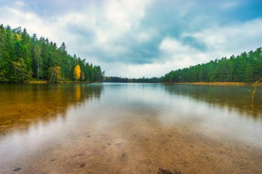 İsveç ormanlarındaki göl. 