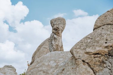 Dinozor şeklinde taş bir kaya.