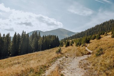 Dağ sırası sarı otlarla kaplıdır.