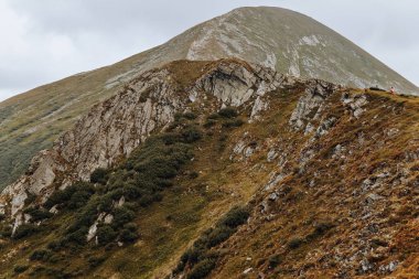 Dağ sırası sarı otlarla kaplıdır.