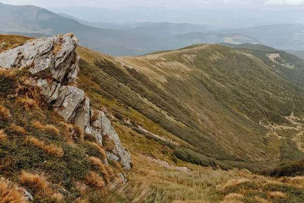 Die Bergkette Ist Mit Gelbem Gras Bedeckt — Stockfoto