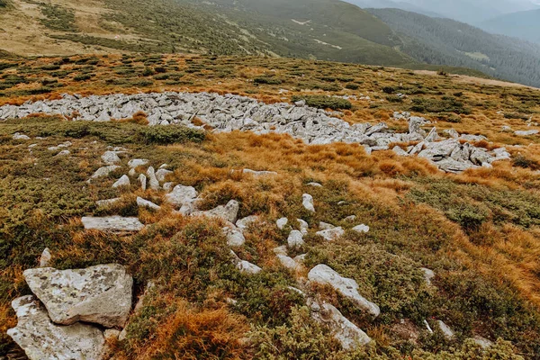 Das Feld Den Bergen Ist Mit Steinen Übersät — Stockfoto
