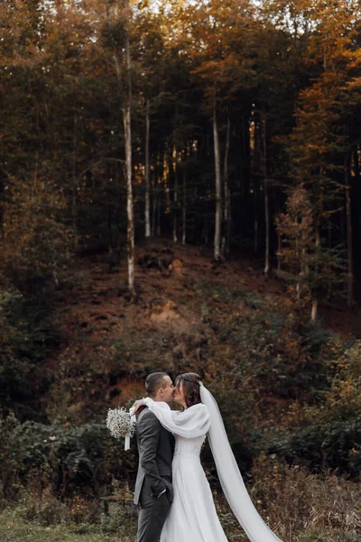 新郎亲吻新娘的手 年轻夫妇恋爱了 爱与融合的概念 浪漫的求婚 — 图库照片