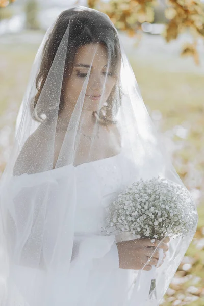 Die Elegante Schöne Braut Unter Einem Schleier Steht Davor Und — Stockfoto