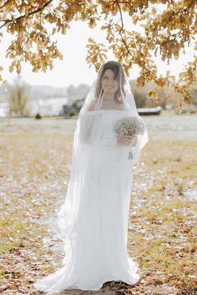 Elegante Bella Sposa Sotto Velo Piedi Davanti Guardando Fotocamera Abito — Foto Stock