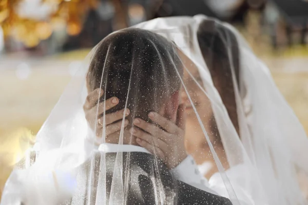 Элегантная Красивая Пара Вуалью Обнимаемся Невеста Нежно Обнимает Жениха Голову — стоковое фото