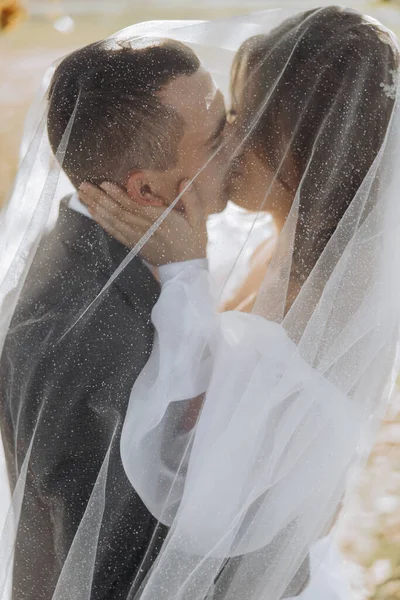 Elegante Bella Coppia Sotto Velo Abbracciatevi Vicenda Sposa Abbraccia Bacia — Foto Stock