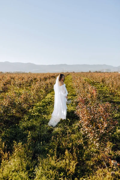 Noiva Segurando Seu Vestido Noiva Correndo Campo Com Luz Solar — Fotografia de Stock