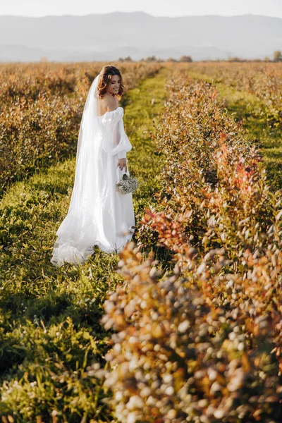 花嫁は彼女の結婚式の服を保持し 日光とフィールドで実行されます 日没のフィールドで女性 少女緑の芝生の牧草地を歩く — ストック写真