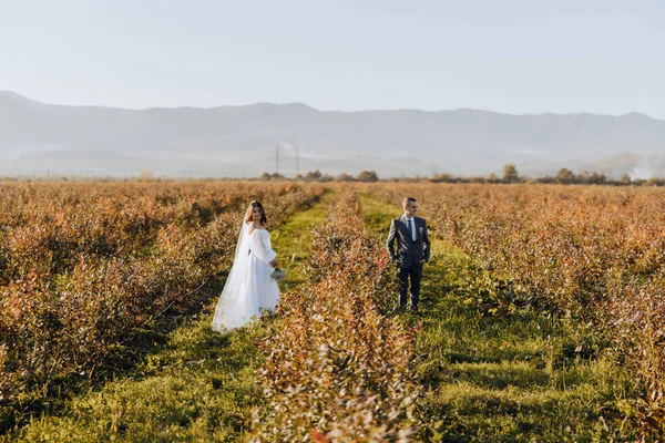 新婚夫妇站在田野里 朝不同的方向看去 这是大自然的婚礼 一对优雅的夫妇 在山水的背景下 — 图库照片