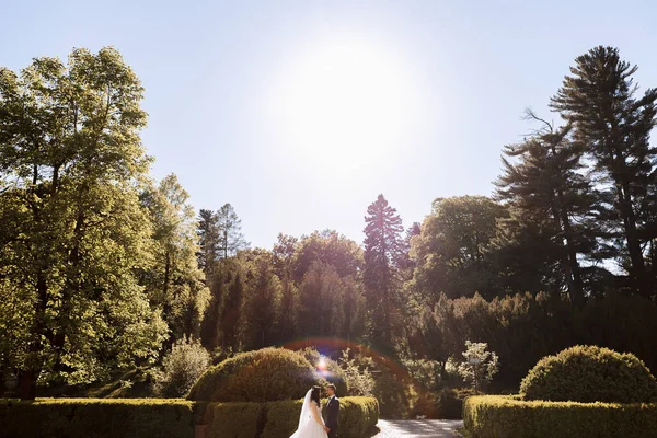 Bride Groom Sunset Green Nature Wedding Couple Park Most Beautiful — Stock Photo, Image