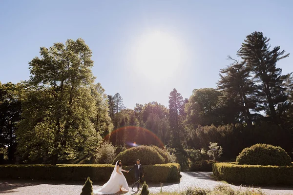 Наречений Наречений Заході Сонця Зеленій Природі Весільна Пара Парку Найпрекрасніший — стокове фото