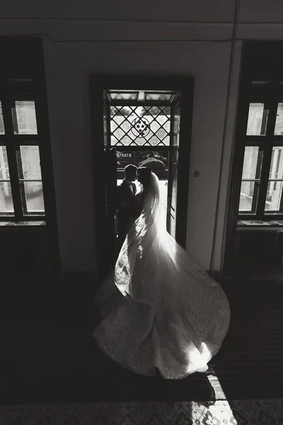 Menyasszony Vőlegény Sikátorban Állnak Lenyugvó Nap Fényében Árnyékokkal Fekete Fehér — Stock Fotó