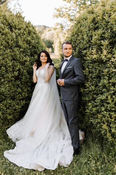 Menyasszony Vőlegény Naplementekor Zöld Természetben Esküvői Pár Parkban Életük Legszebb — Stock Fotó