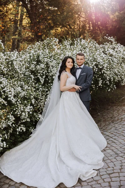 Jovem Casal Feliz Noiva Com Cabelos Longos Encaracolados Vestido Branco — Fotografia de Stock