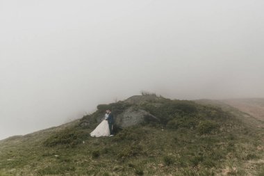 Dağlarda, büyük bir taşın yanında mutlu bir düğün çifti. Damat geline sarılır ve onu öper. Doğada düğün fotoğrafı çekimi. Gelin ve damadın ormanında fotoğraf çekimi. Geniş açı