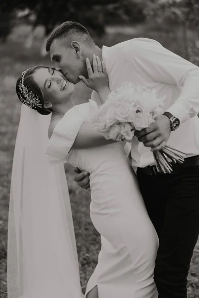 Belo Casal Casamentos Noivo Beija Noiva Testa Fotografia Casamento Feliz — Fotografia de Stock