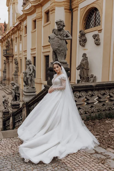 Μια Γοητευτική Νύφη Ένα Υπέροχο Φόρεμα Ένα Μακρύ Πέπλο Φόντο — Φωτογραφία Αρχείου